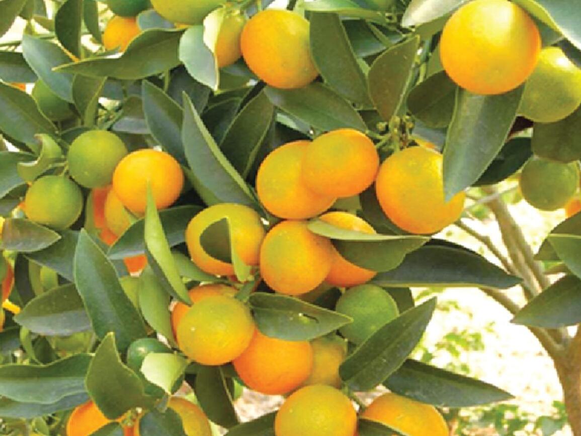 山東手机AV看片网站塑膠有限公司