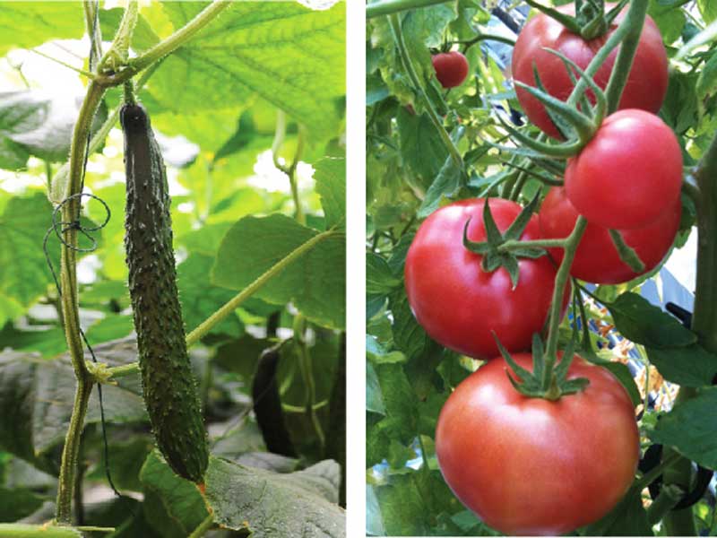 山東手机AV看片网站塑膠有限公司